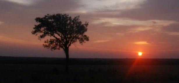 Events — Savanna Sunset